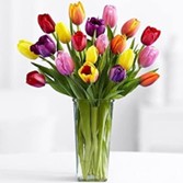 May Flowers-Tulips.jpg