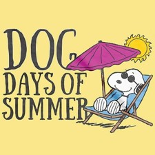 Dig Days of Summer '26.jpg