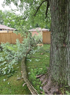Thunderstorm 07-27-2026_1.jpg
